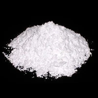 Calcium Silica Powder 10kg per Zak 